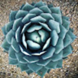 Meet your Posher, Mary lu